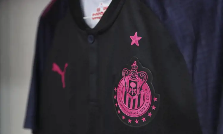 Club Deportivo Chivas pink ribbon voetbalshirt 2017