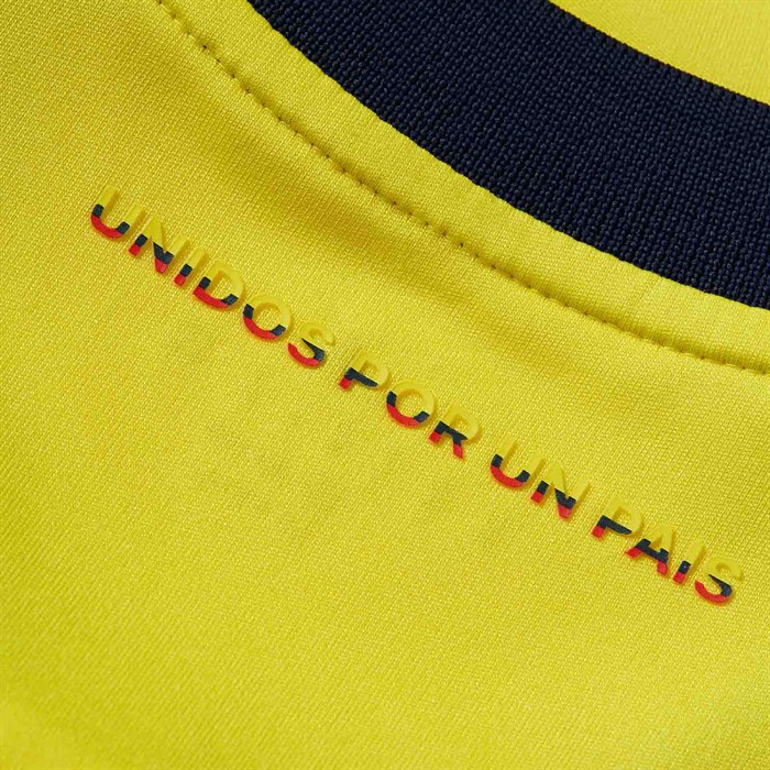Detail Colombia Thuisshirt 2015-2016 Copa America